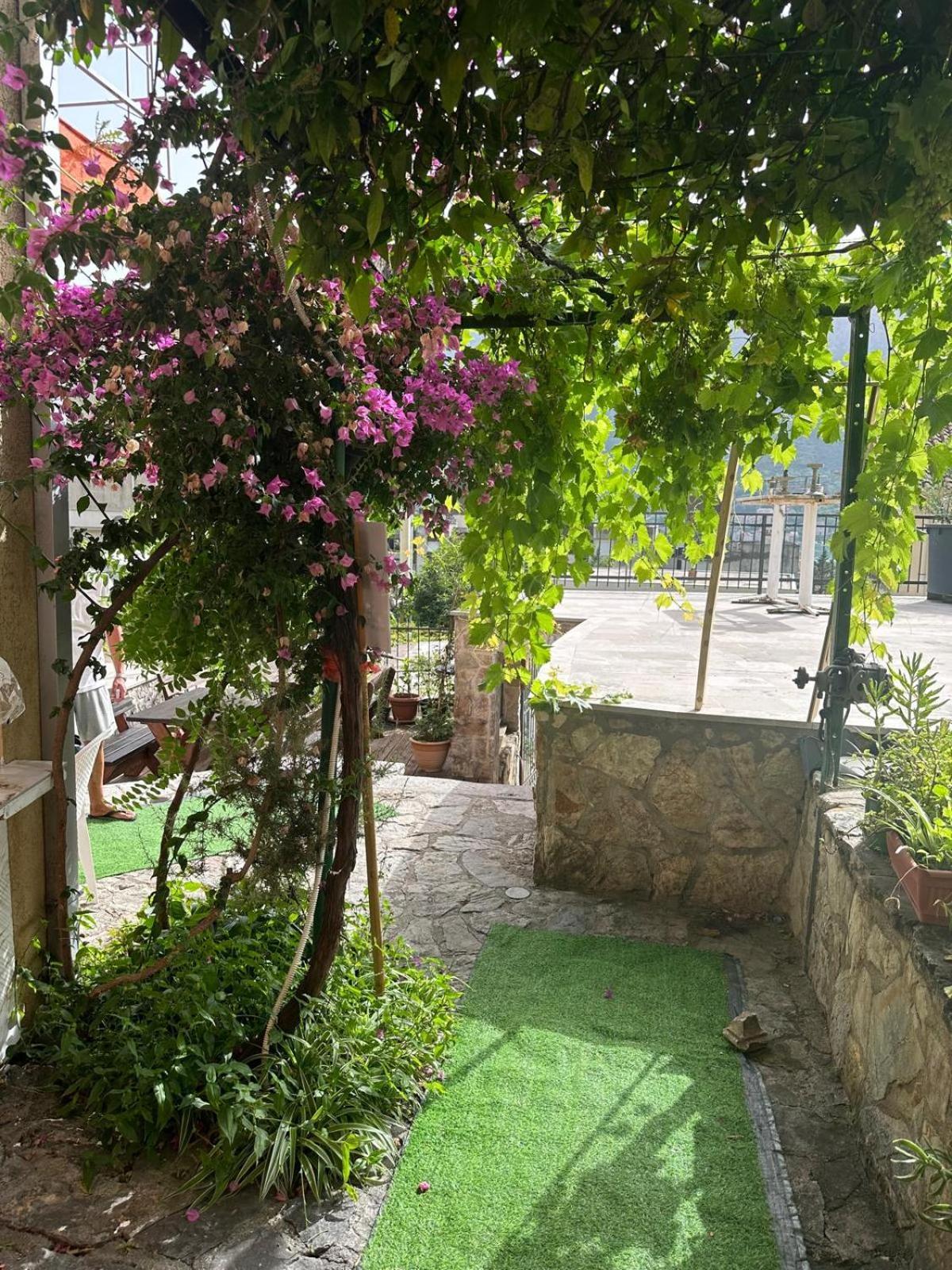Themis Apart Hotel Kotor Exterior photo
