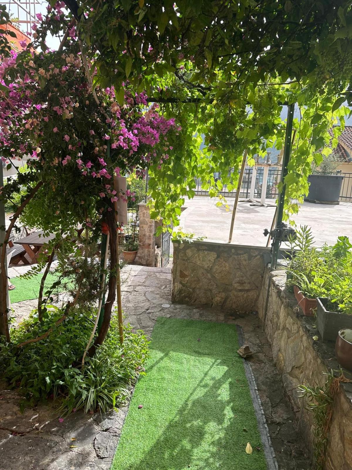 Themis Apart Hotel Kotor Exterior photo