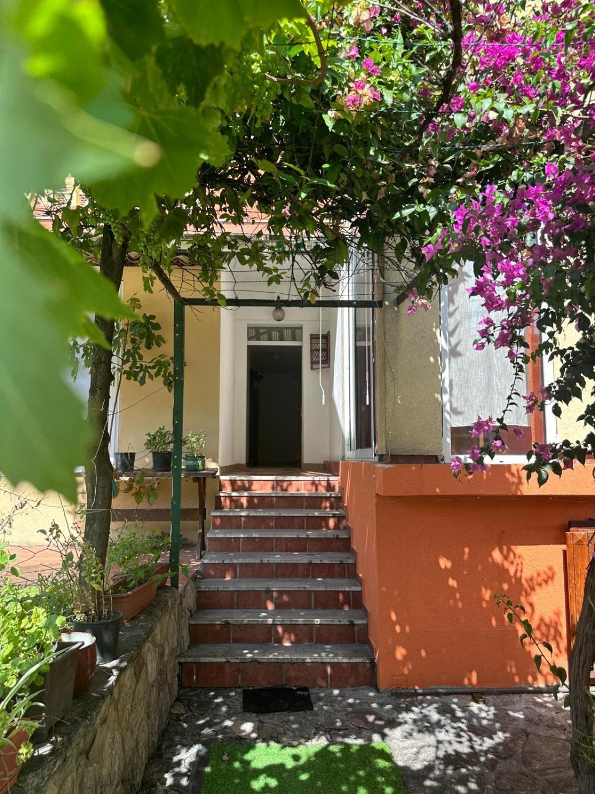 Themis Apart Hotel Kotor Exterior photo